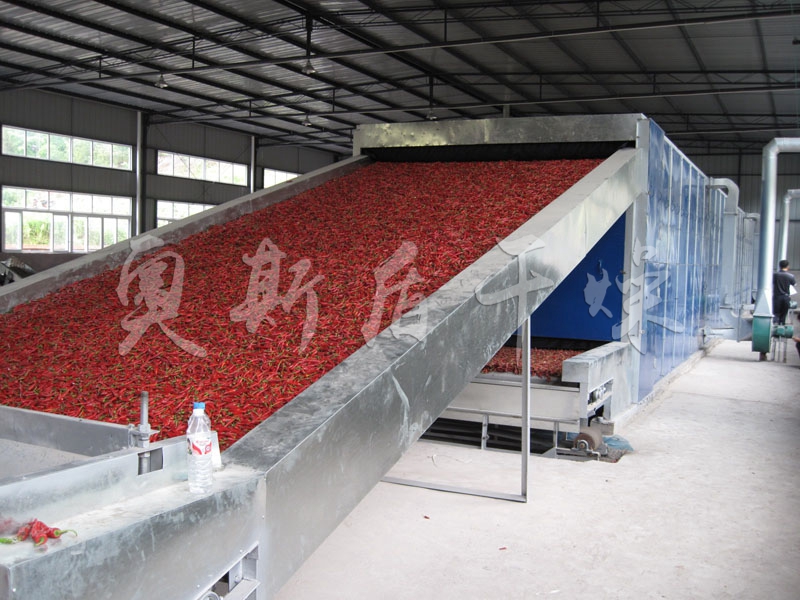 DWT系列脫水蔬菜干燥機 DWT系列脫水蔬菜干燥機