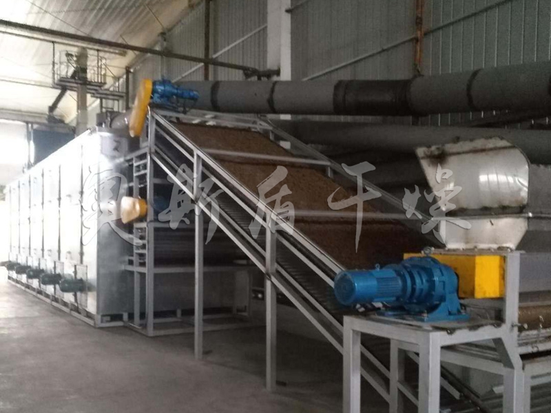 DWT系列脫水蔬菜干燥機